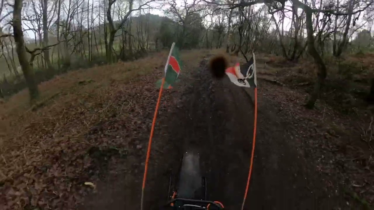 Full Fat trike on Cannock Chase 30 Jan 2026 (long version)