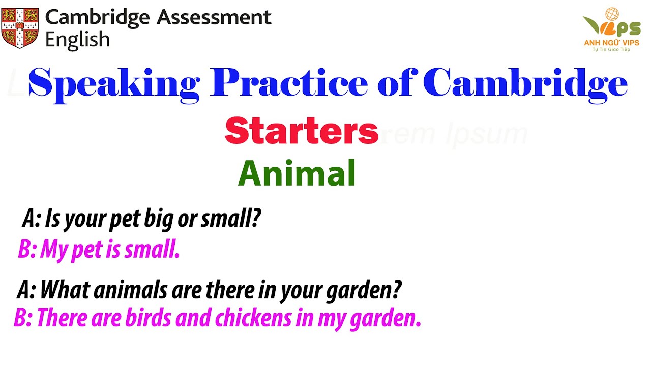 Speaking Practice - STARTERS - Animal