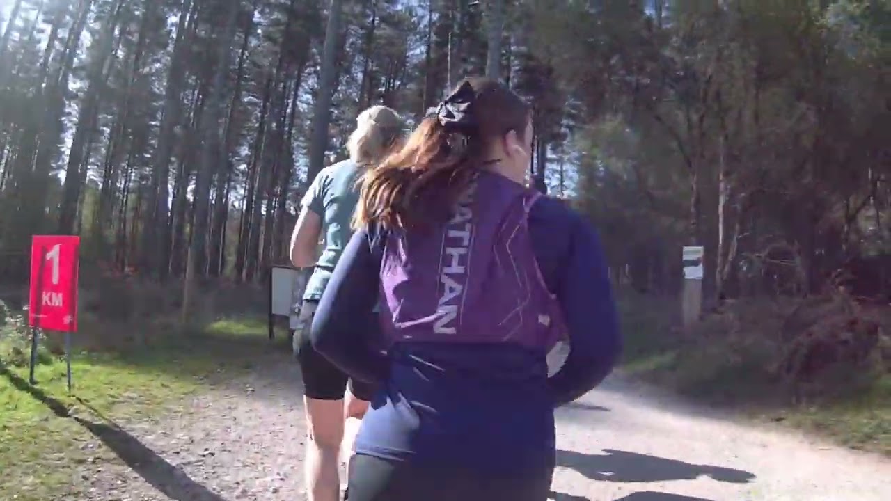 Cannock Chase Forest April 2024   HD 1080p