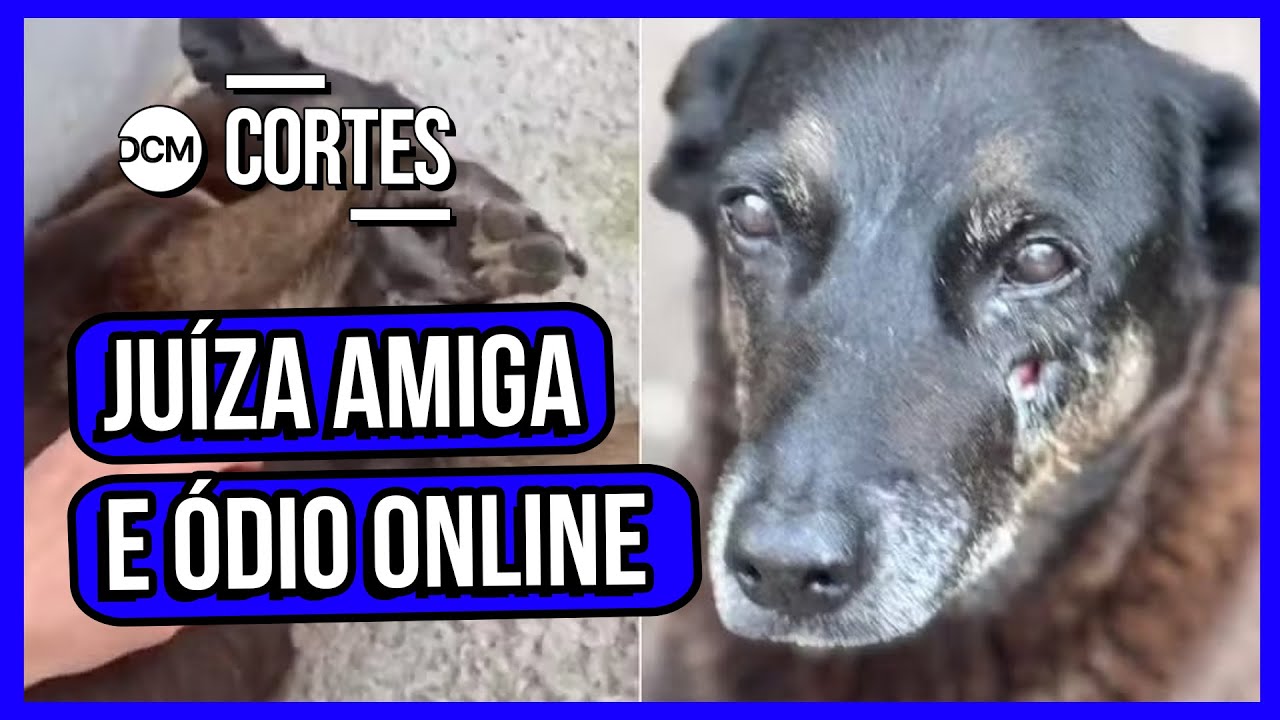ALÉM DOS ADOLESCENTES: OS OUTROS CULPADOS DO CASO DO CÃO ORELHA