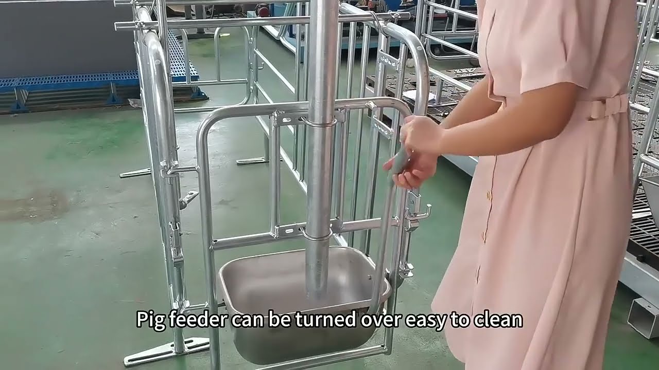 Hengyin Pig Farm Equipment high quality and customizable pig gestation crate&mdash;&mdash;Hengyin