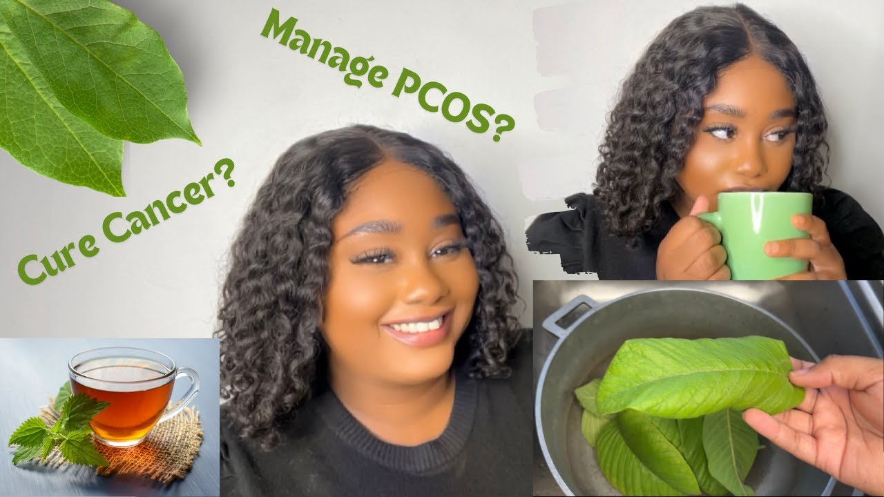 4 Bush Teas to Manage PCOS|Annelia |West Indian |Caribbean| Bush Medicine |Fruit Leaves| The Bahamas