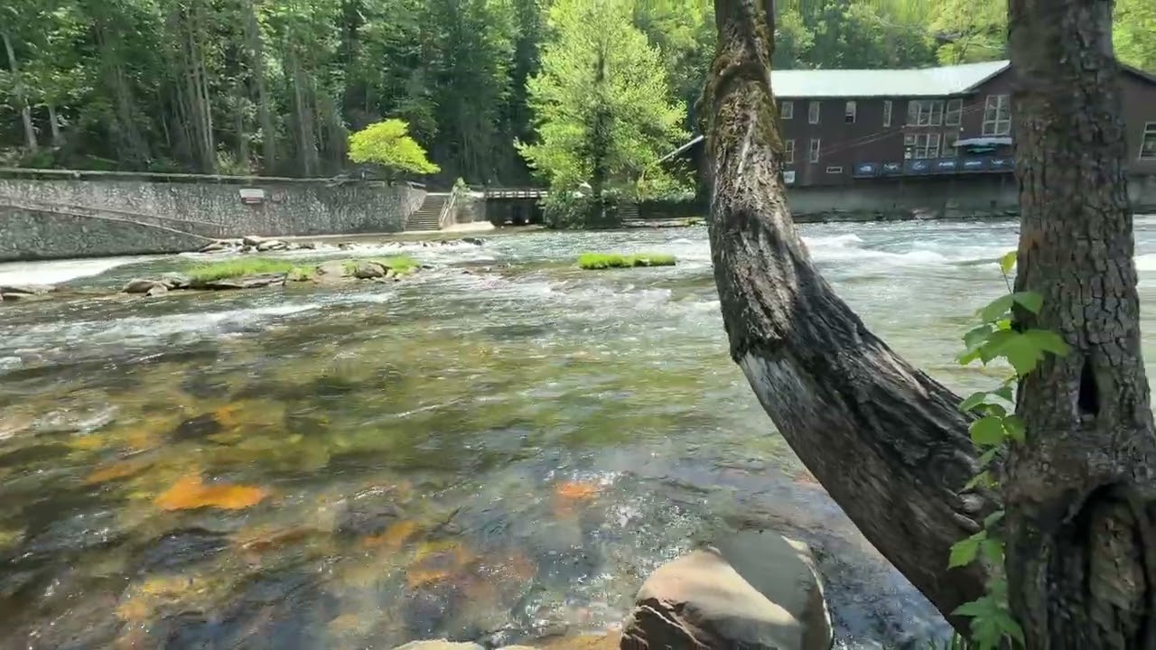 Nantahala Outdoor Center 04/29/2025