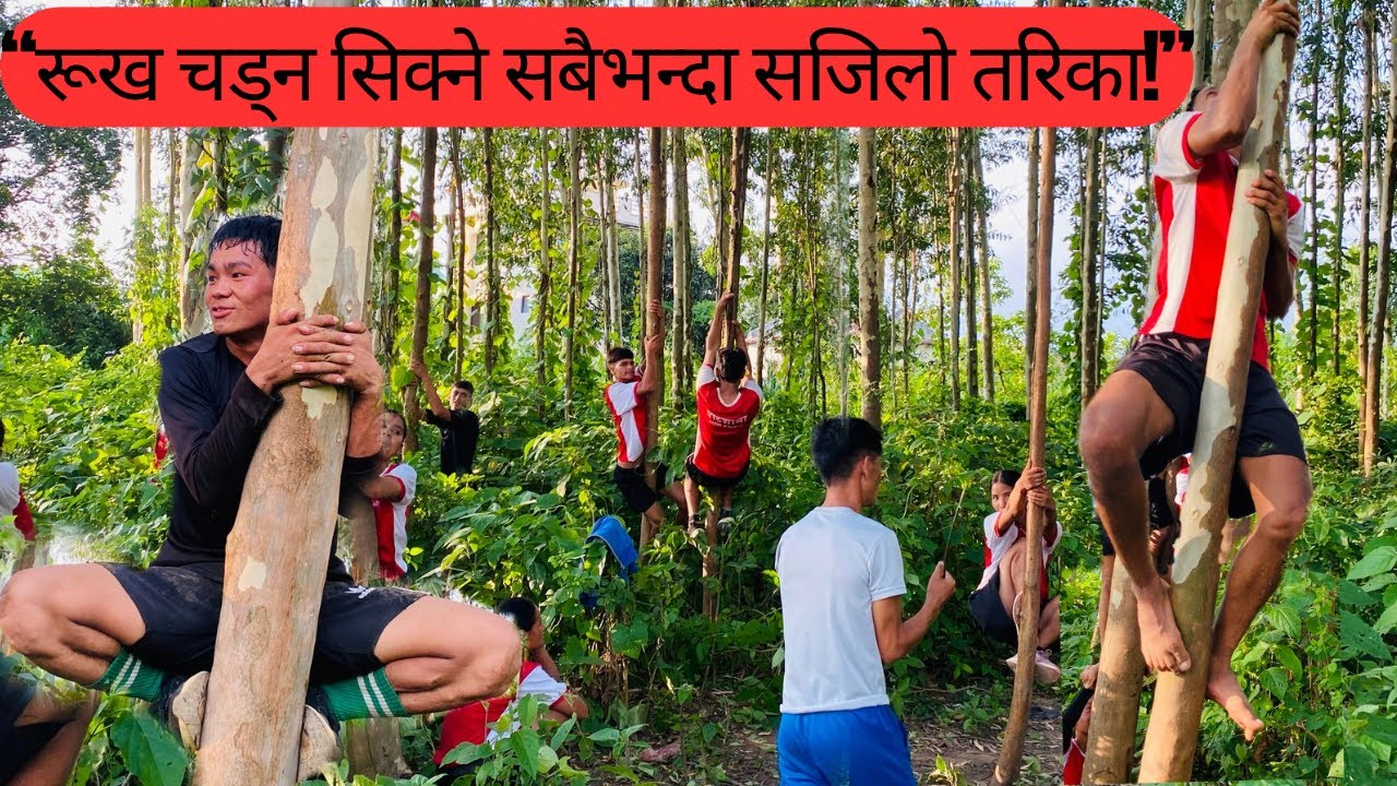  बन रक्षकको लागि रूख चड्ने यति सजिलो तरिका थाहा पाएमा १००%  पास ।😱😱 The easy way to climb a tree.