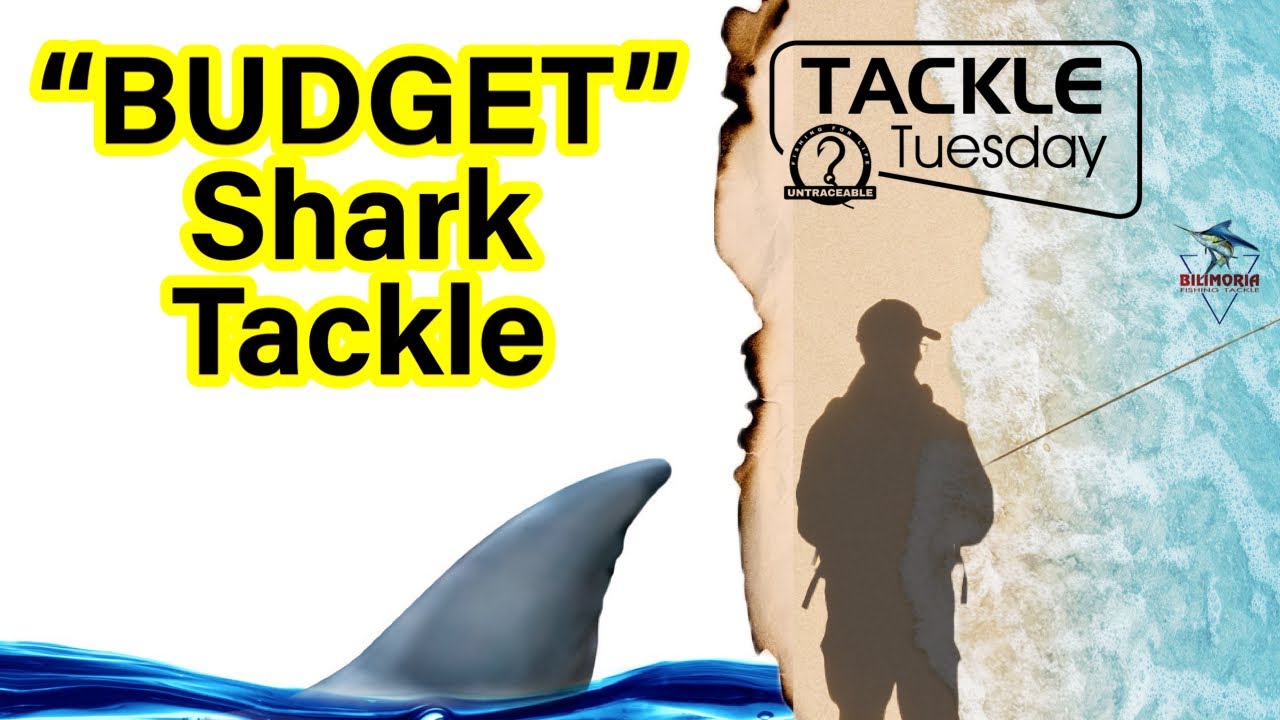 TACKLE TUESDAY: Shark 