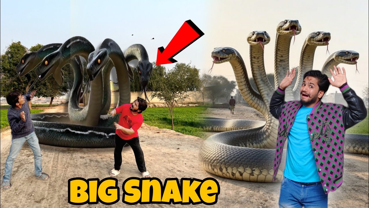Big Snake aa Gaya🐍😨 