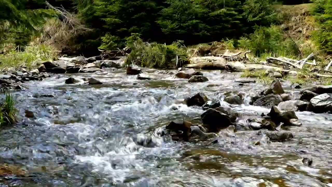 Peaceful River Flow | Natural Water Sounds to Unwind and Relax