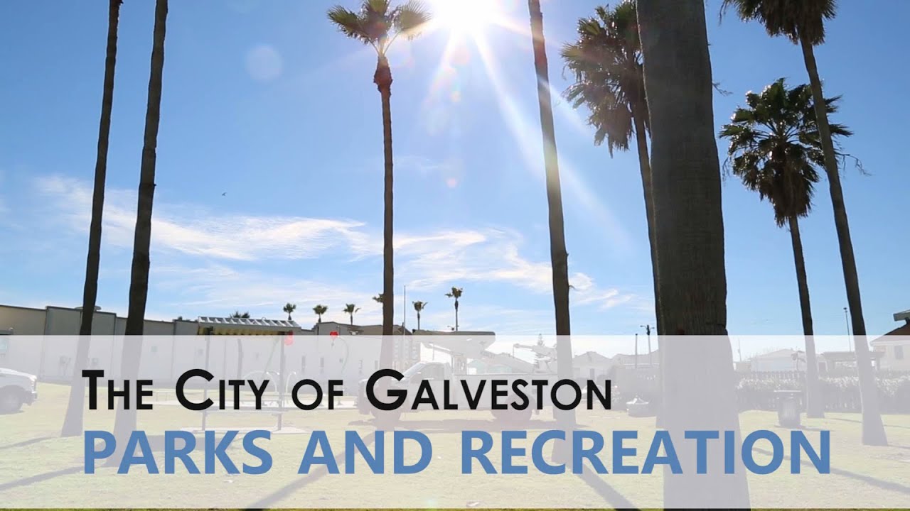 Department of Parks and Recreation