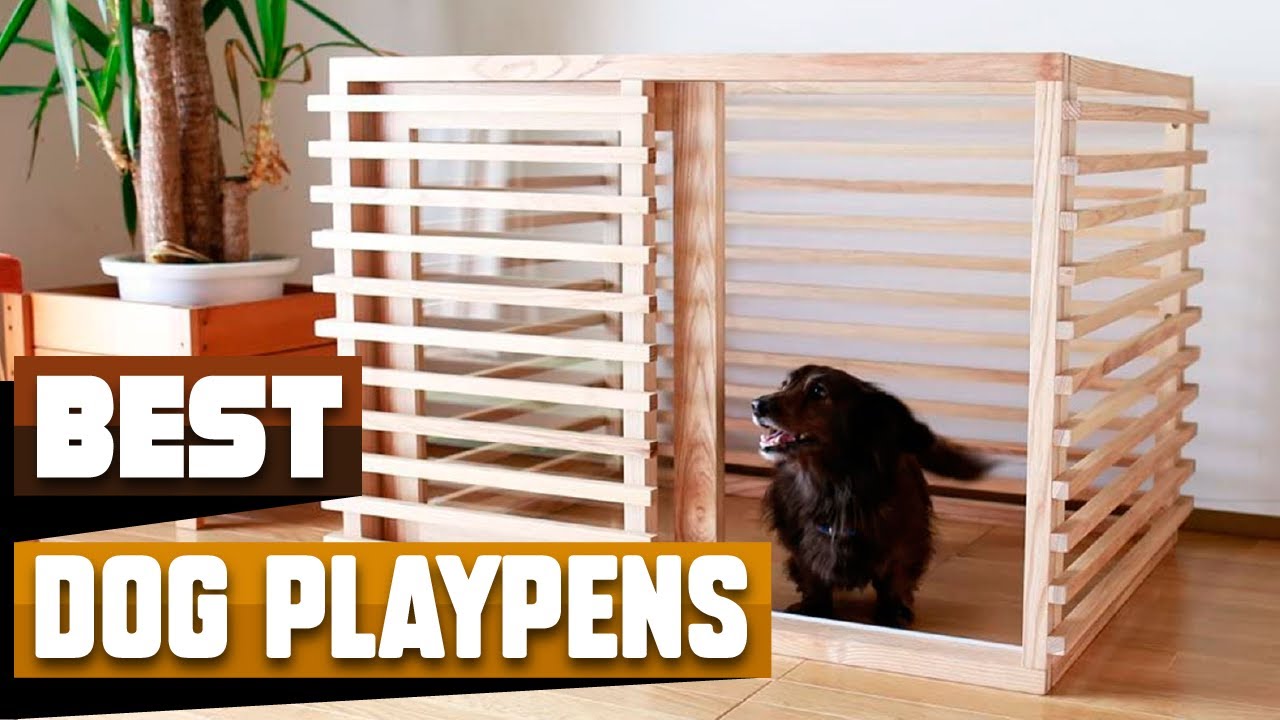 Best Dog Playpen In 2026 - Top 10 Dog Playpens Review