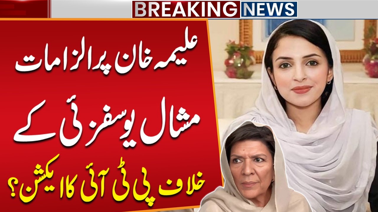 Allegations on Aleema Khan | PTI Takes Action Against Mashal Yousafzai | Breaking News | Public News