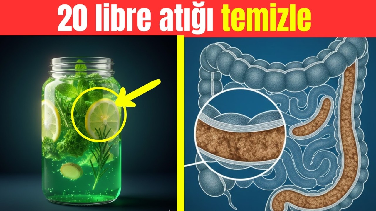 Göbek Yağı Gitmiyor mu? Bu 5 Yağ Bağırsakları Temizler ve Karnı Düzleştirir!
