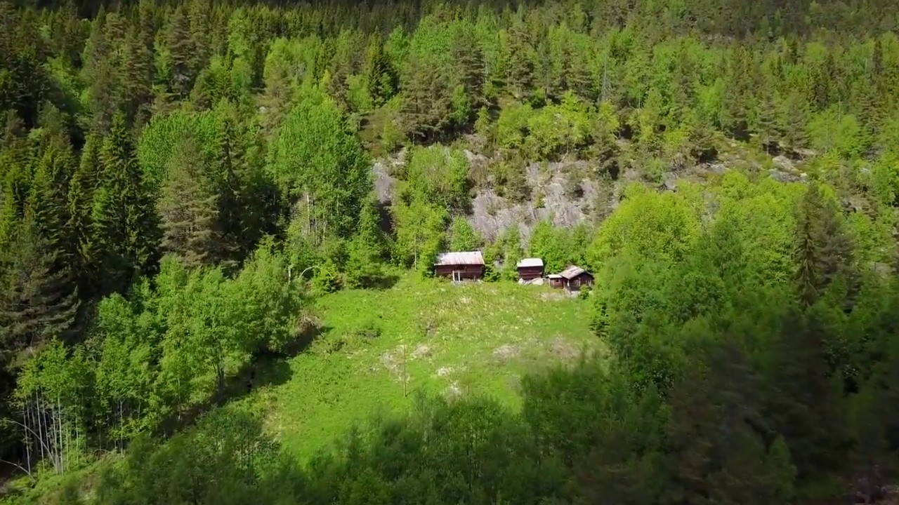 Mjaugeto i Gransherad