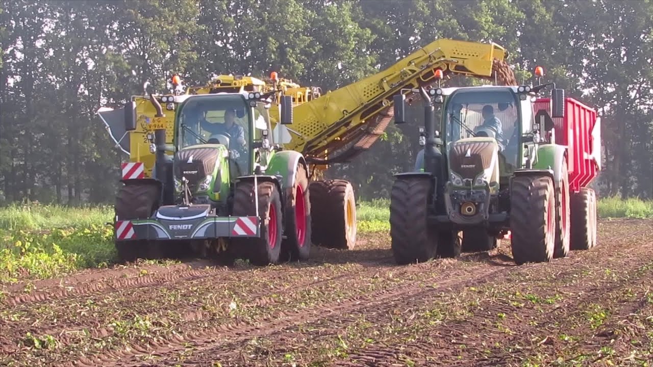 Potato harvest | 2x Fendt Vario 724 | Ropa Keiler II L | Beco Super 1800 | FA. Jacobs Geijsteren