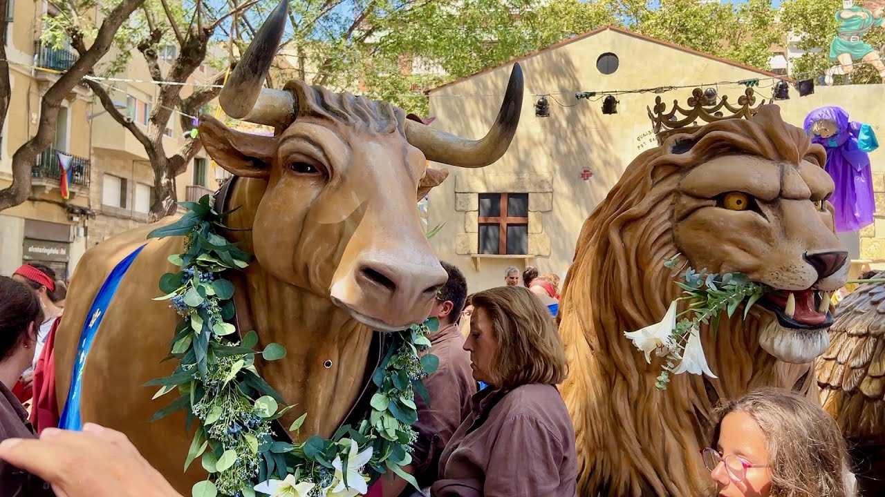 La gran pel·lícula - FESTA MAJOR DE GRÀCIA 2023 - Estrena Nou Bou, Diables, Dracs, Lleó, Àliga.