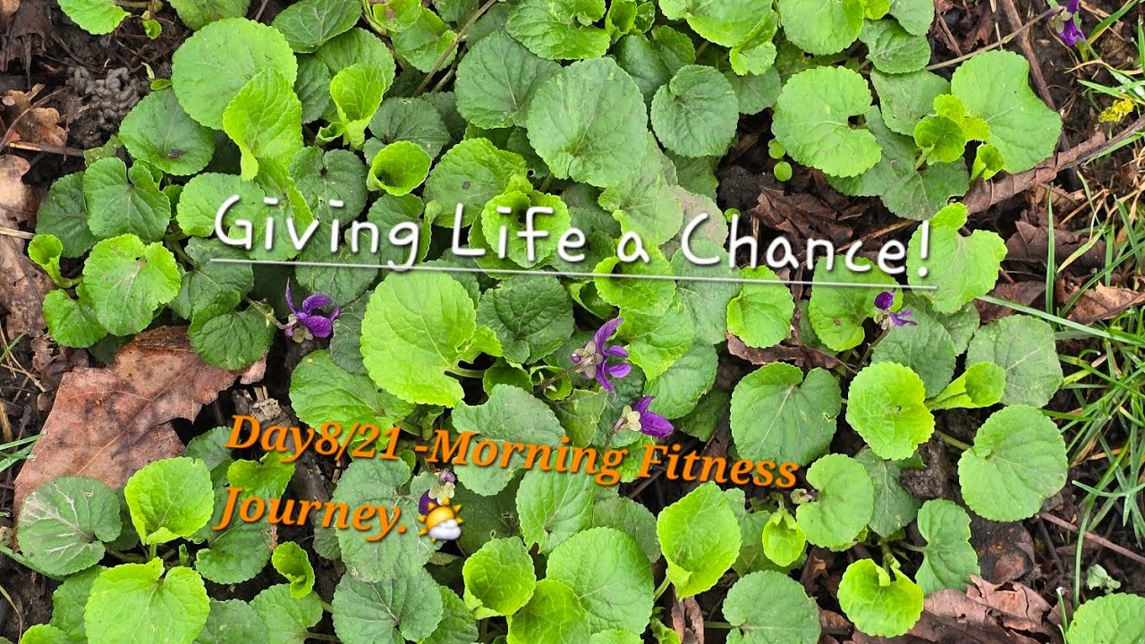 Why do we Worry? Fear or Love! Day 8/21 - Morning Fitness Journey.☀️🥰