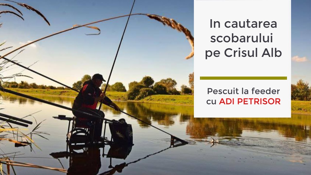 In cautarea scobarului pe Crisul Alb