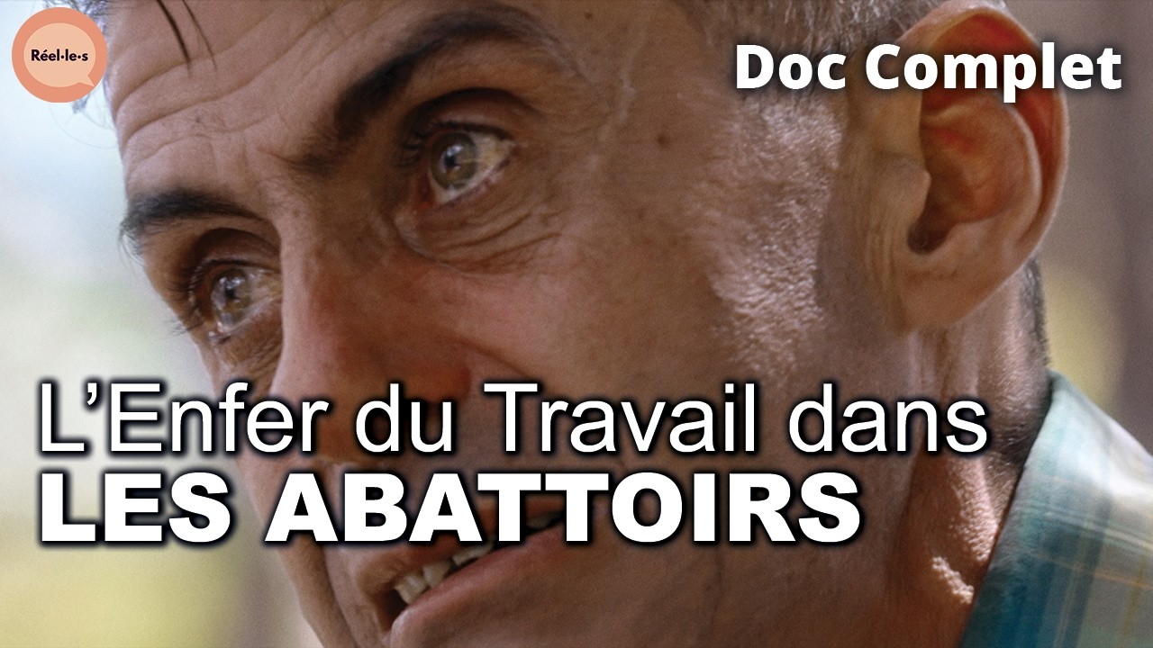 L'Enfer des Abattoirs, t&eacute;moignages d'Ouvriers marqu&eacute;s &agrave; Vie | R&eacute;el&middot;le&middot;s | DOC COMPLET