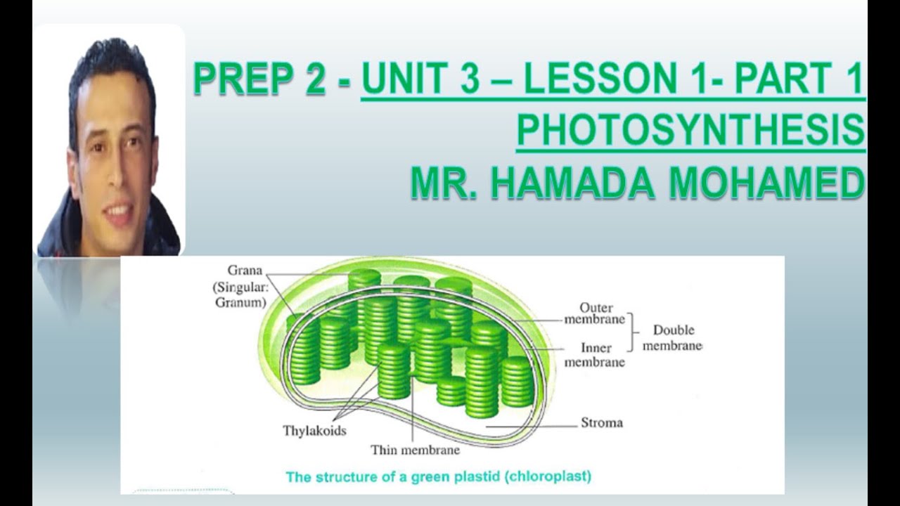 Prep 2 - Unit 3 – Lesson 1- part 1 - Photosynthesis - Mr. Hamada Mohamed