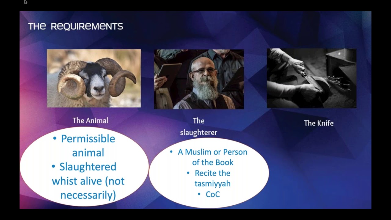 Understanding the halal sector
