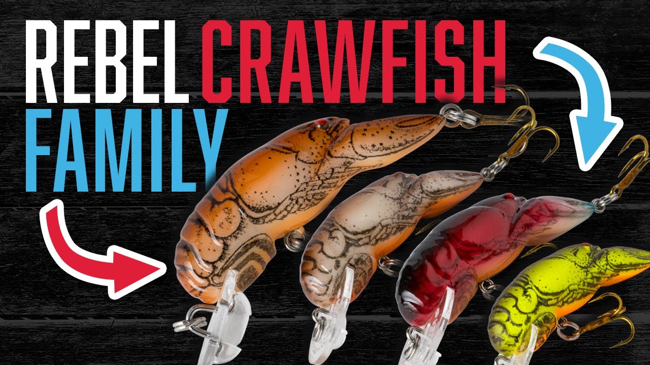 Rebel Crawfish: The OG & Its Not-So-Tiny Family! Dive Deep on All 6!