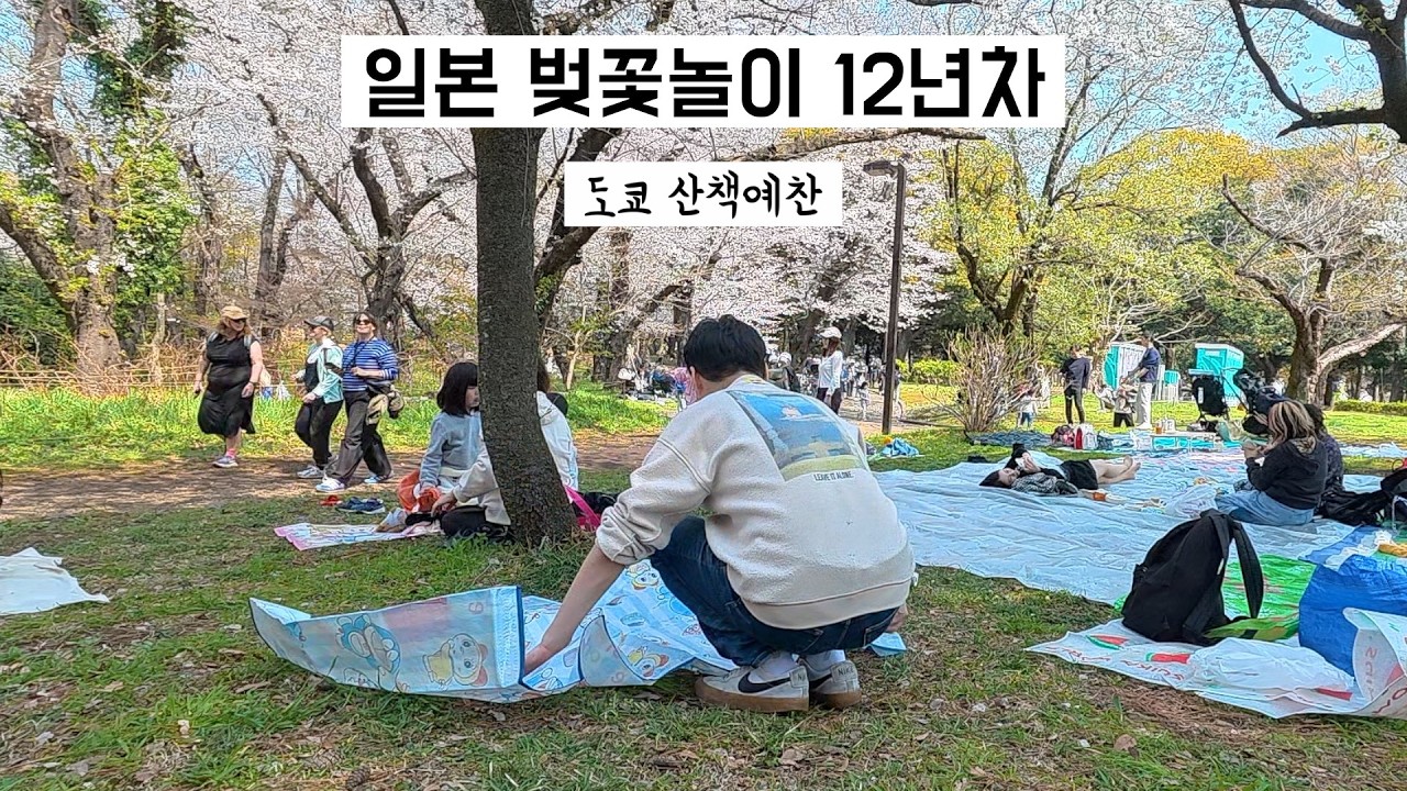 🇯🇵 일본생활 | 벚꽃놀이 12년차의 도쿄일상 24시간 (나카메구로, 요요기공원, 신주쿠교엔, 요자쿠라, 도쿄 산책 코스)