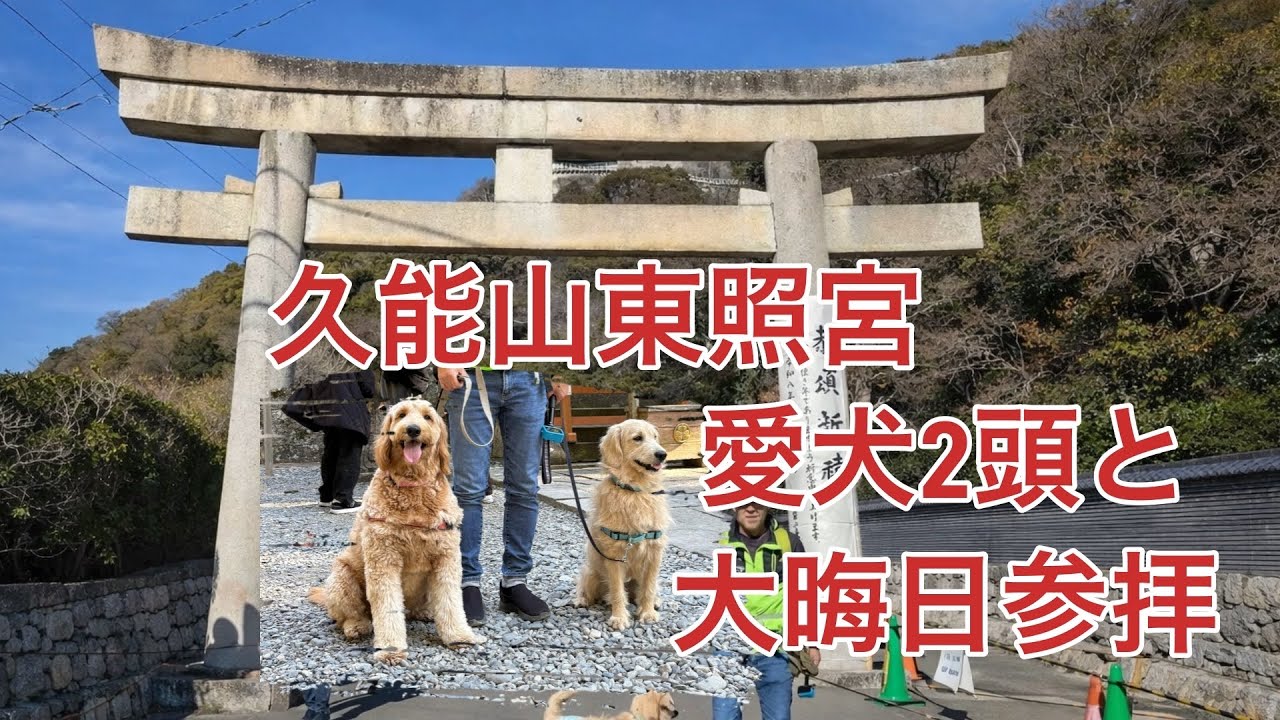 【大晦日】愛犬2頭と久能山東照宮へ｜一年の感謝を込めて