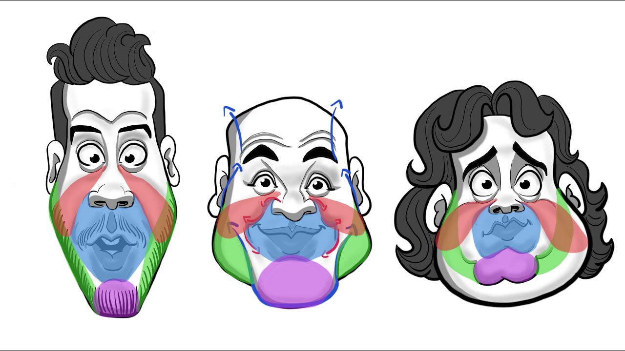 The 4 Regions of the lower face Part 01