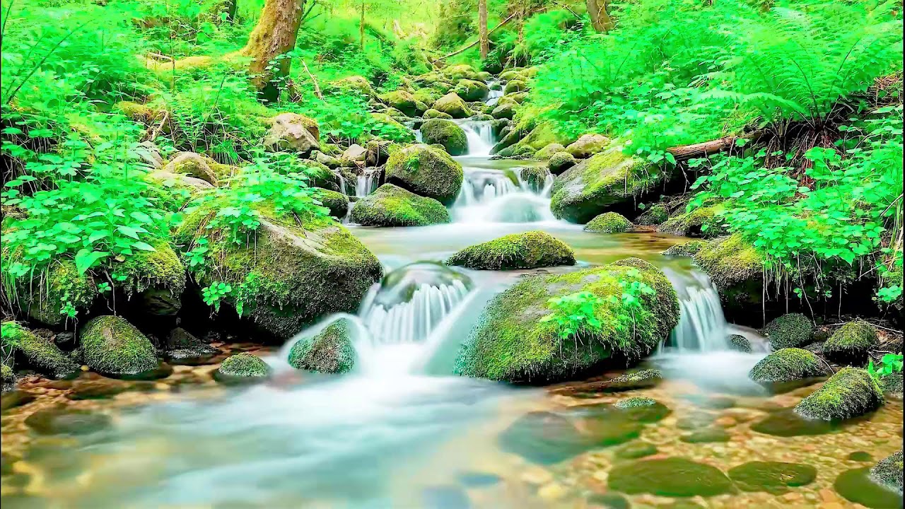 Flowing River Sound for Deep Sleep | Calm Nature Noise for Wellness and Sleep Aid