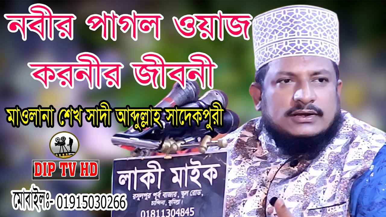 নবীর পাগল ওয়াজ করনীর জীবানী।মাওলানা শেখ সাদী আব্দুল্লাহ সাদেকপুরী।Sheikh Sadi Abdullah waz 2020