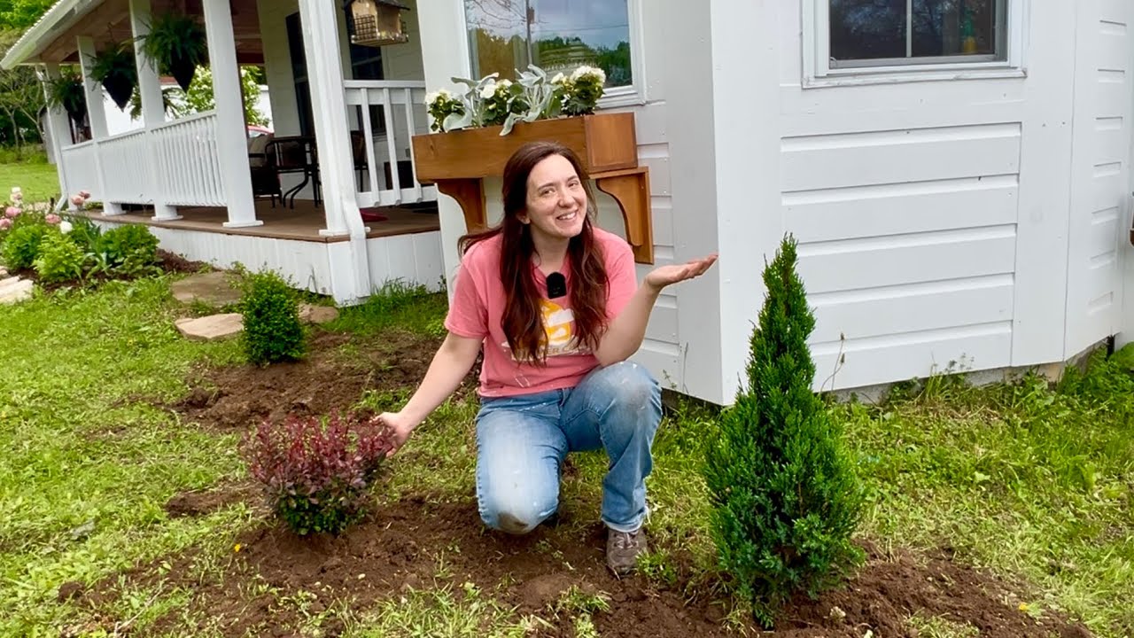 BAY WINDOW GARDEN&hellip; I found the Perfect Plants!!