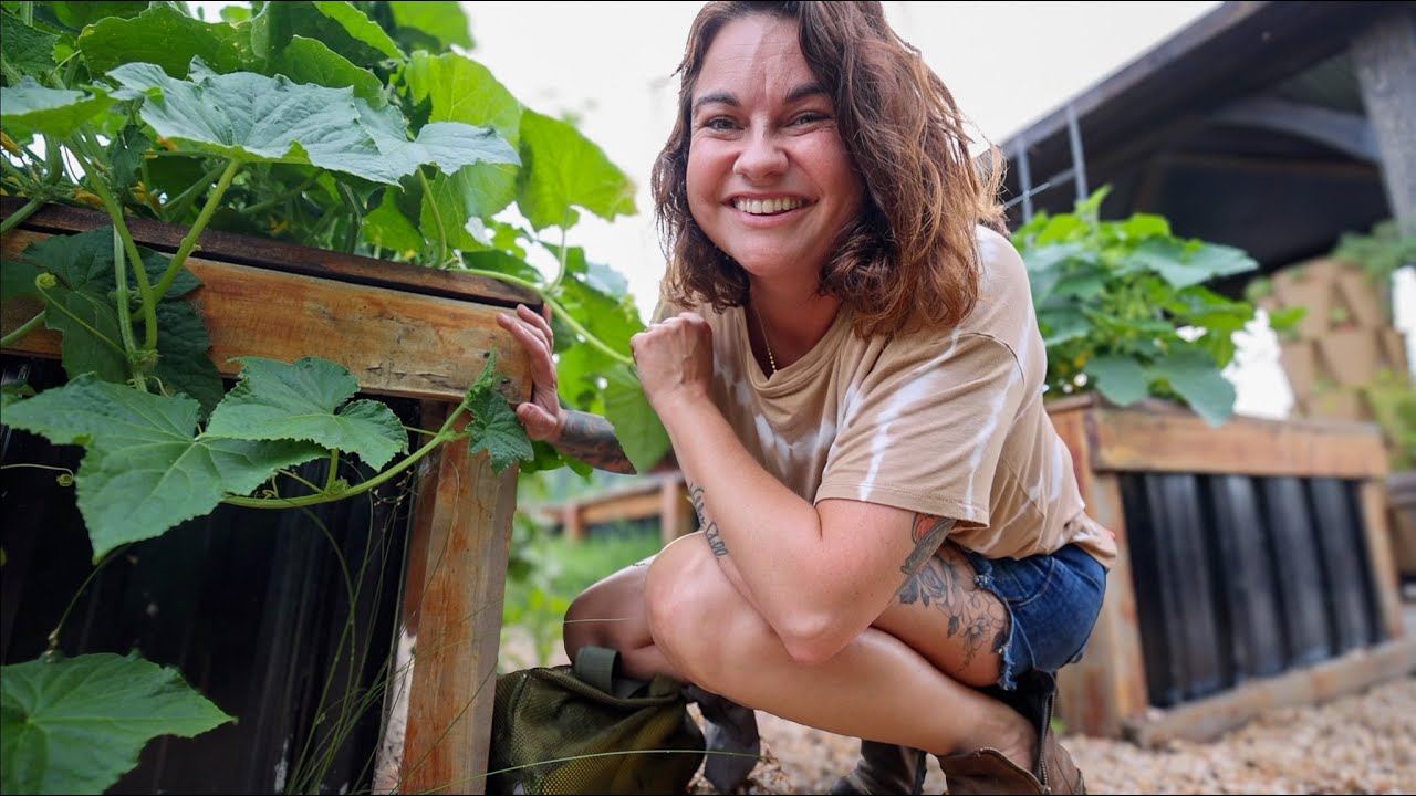 A quick dinner harvest (goat math strikes again) | VLOG