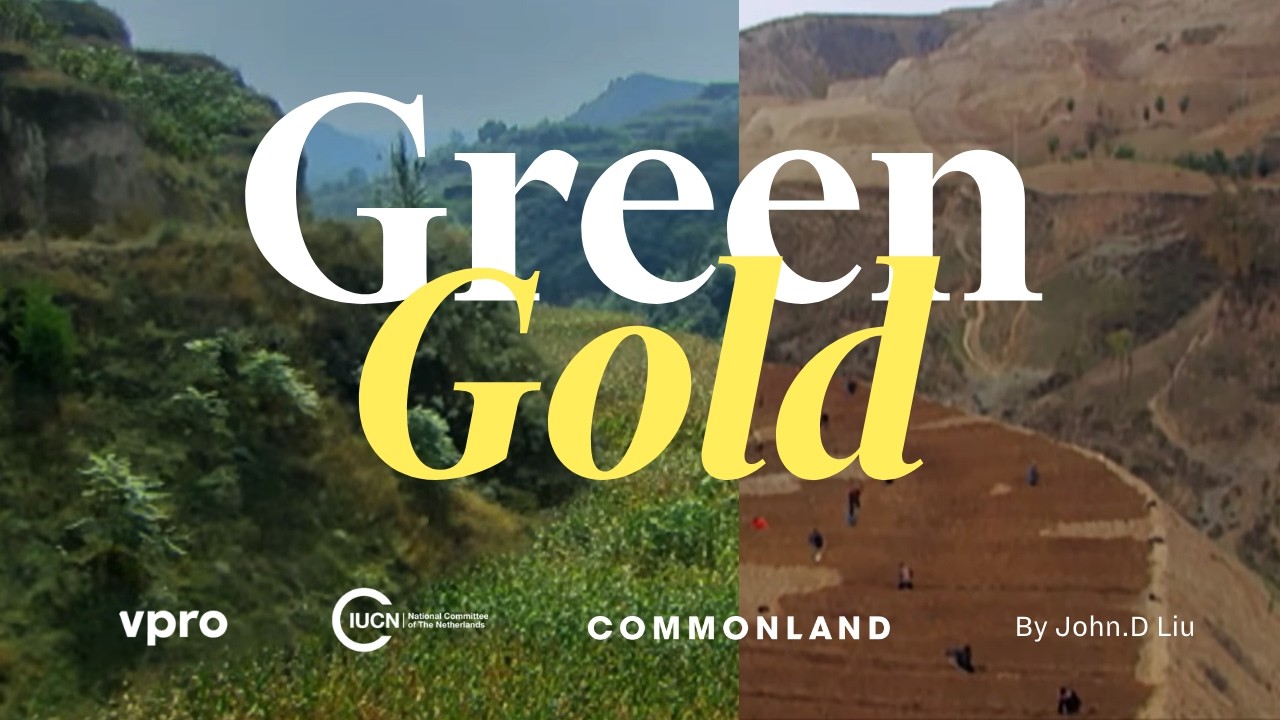 Green Gold: Regreening the Desert | John D. Liu | English