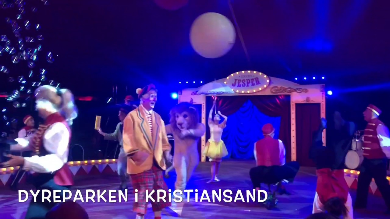 Dyrefritt sirkus i Dyreparken