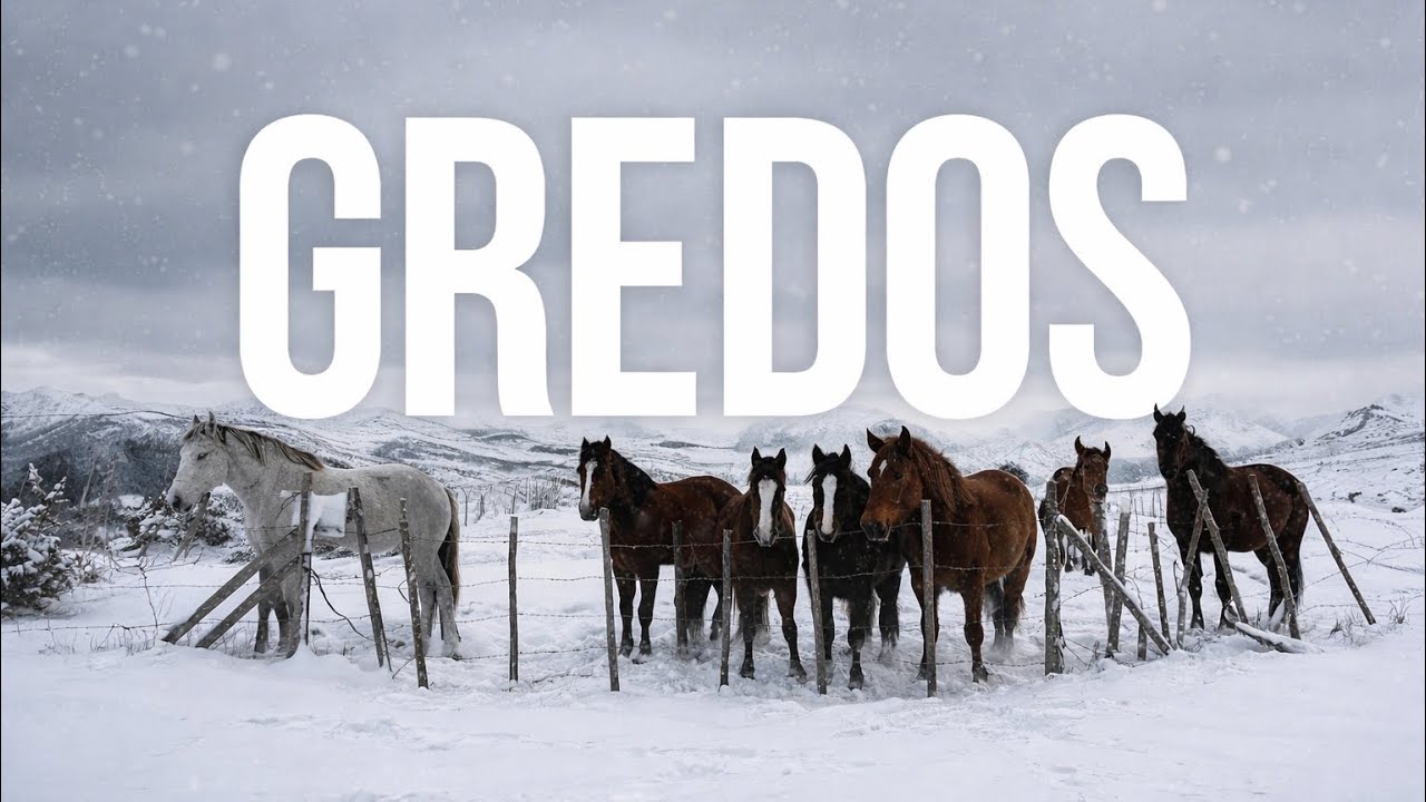 Invierno en la Sierra de Gredos