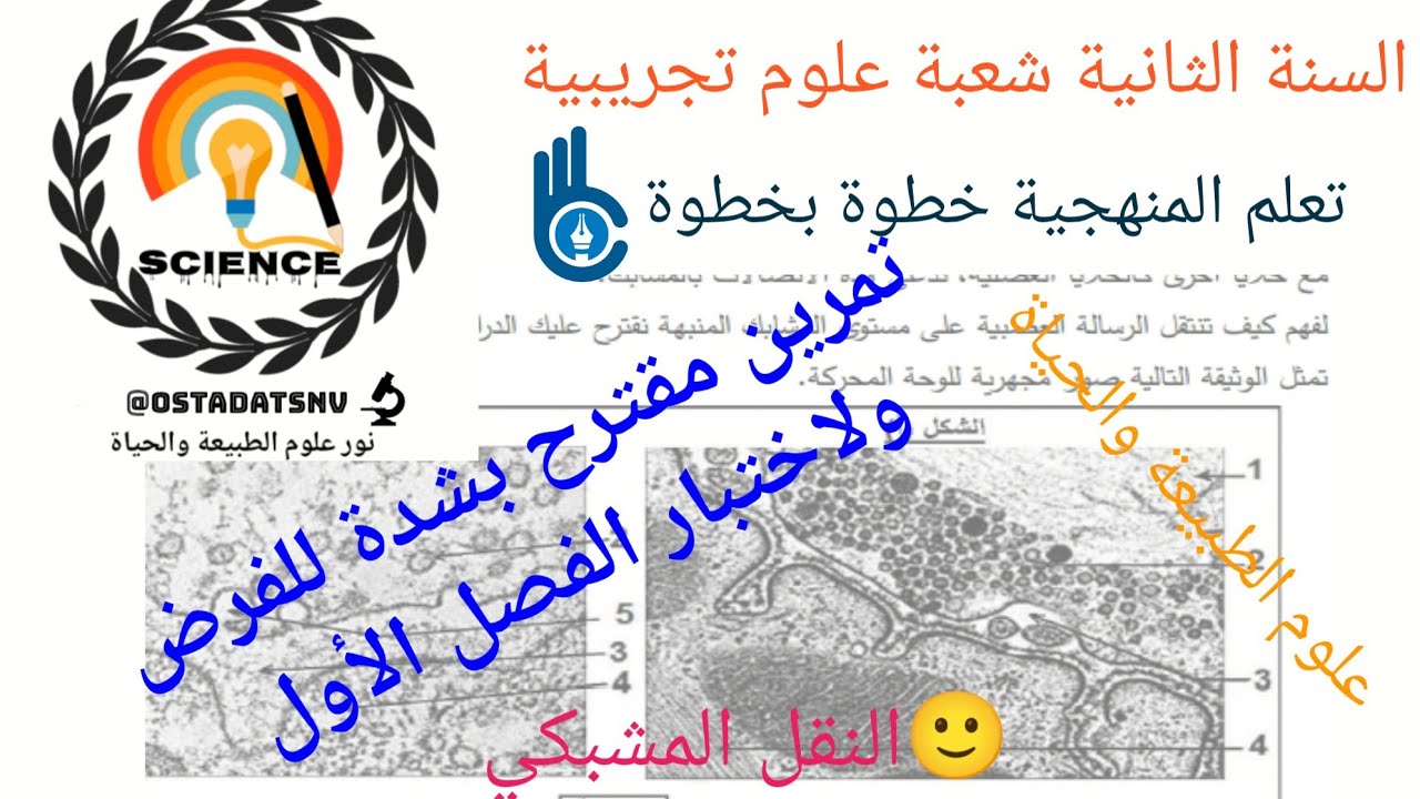 تمرين حول النقل المشبكي وفق المنهجية