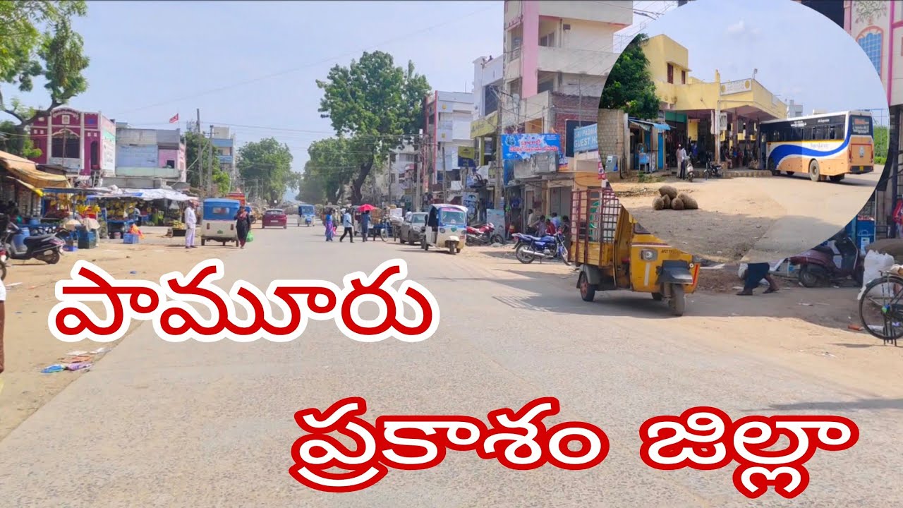 Pamuru town view //pamuru //Prakasam district //andrapradesh //palleturupillalu //teluguvideo