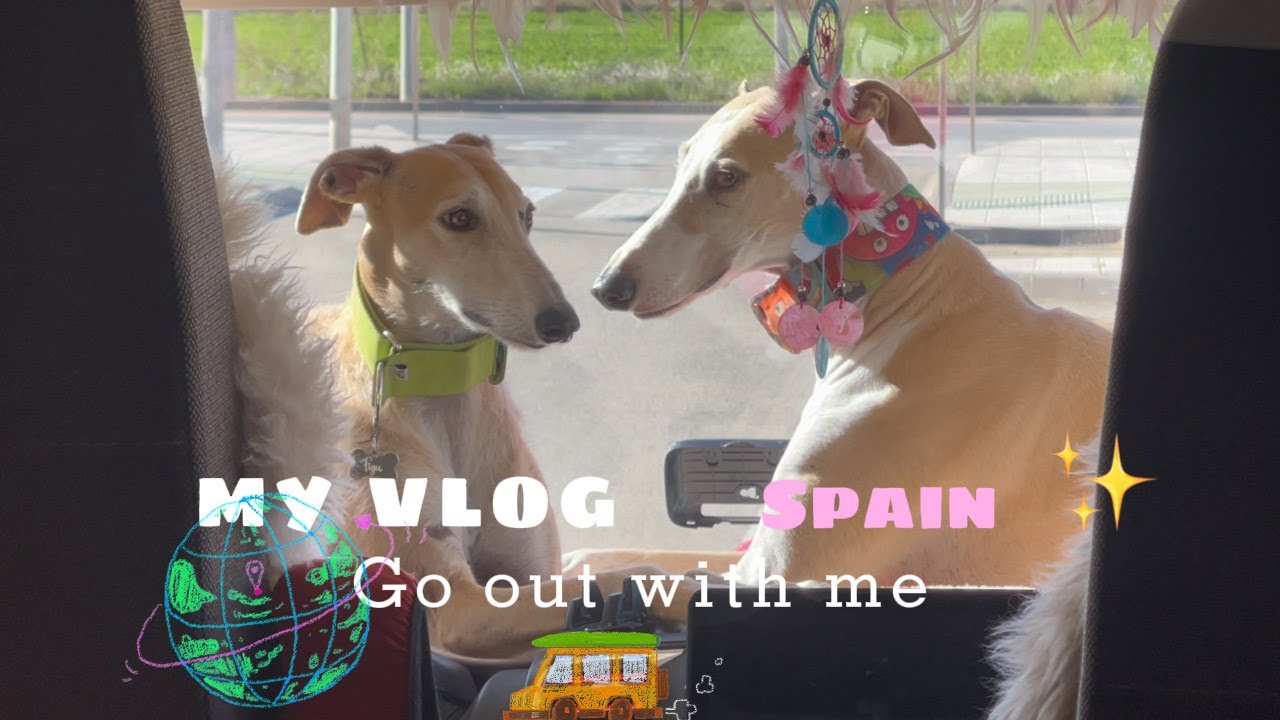 Ich lebe und reise mit meinen drei Hunden Vollzeit im Wohnmobil🚐❤️#vlog #solotravel #spanien