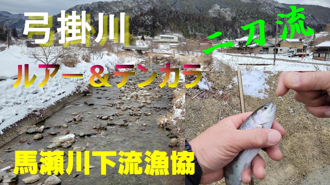 【弓掛川】ルアー＆テンカラの二刀流で！！（馬瀬川下流漁協管内）