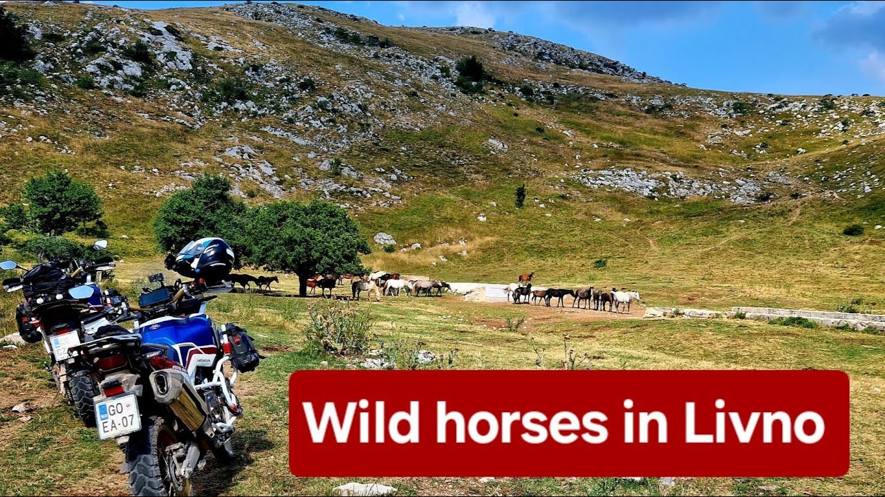 Iskanje divjih konjev v Livnem / Searching for wild horses in Livno, Honda Africa Twin, 🇧🇦 2023