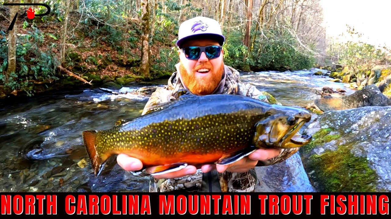 2022 North Carolina Trout Fishing