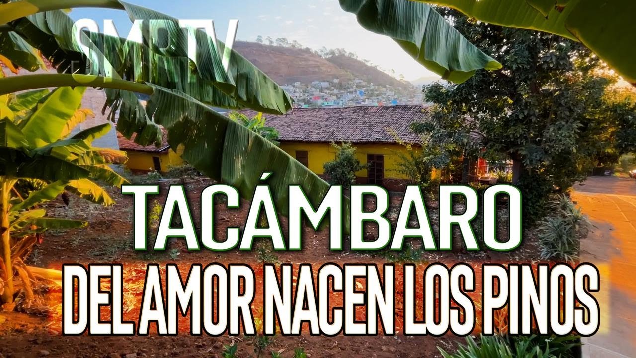 Tacámbaro, del amor nacen los pinos | Investigaciones Michoacán | SMRTV
