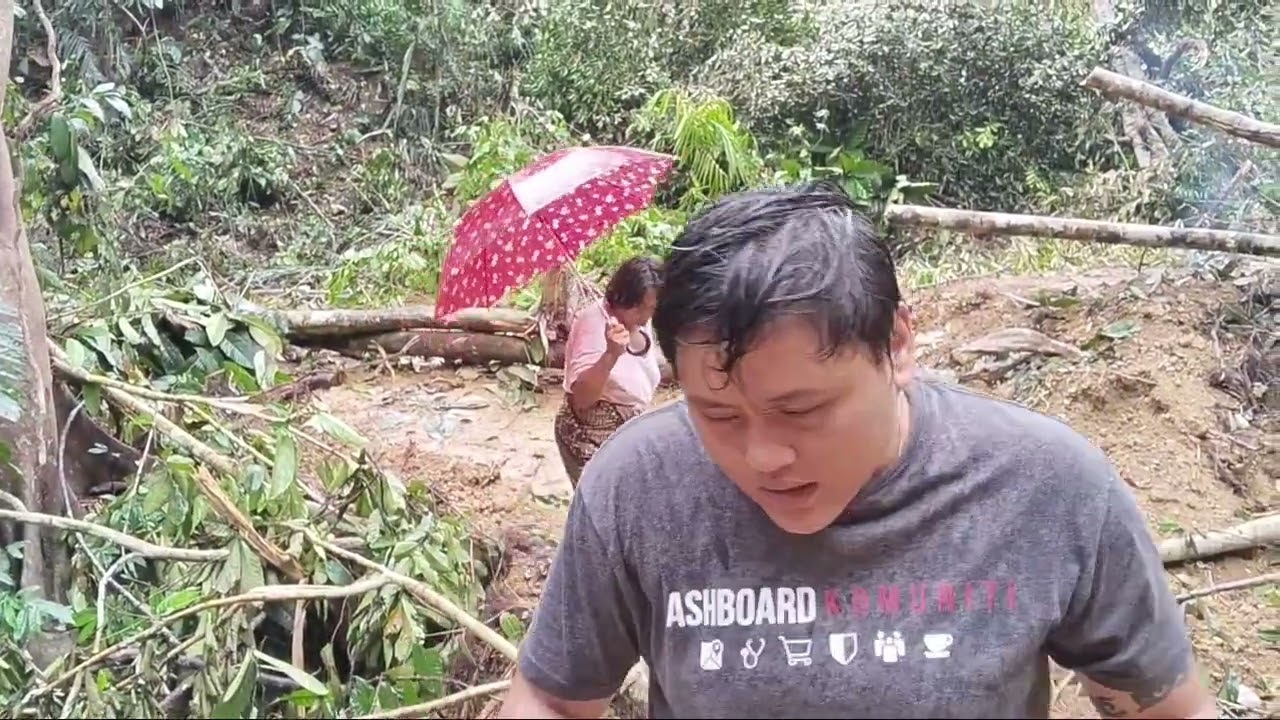 mencari buah jelatang 