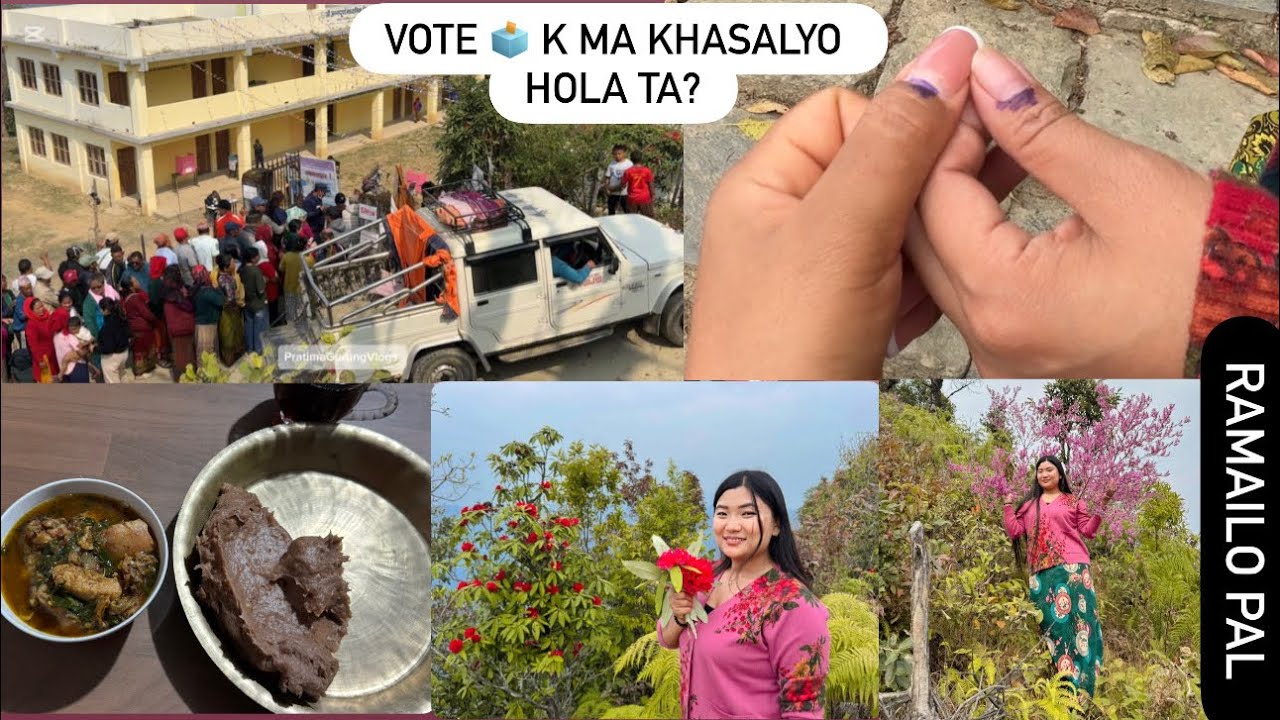 GAUNKO ORGANIC DHIDO KhAYARA VOTE 🗳️ KHASALNU HIDEKO/ VOTE 🗳️K MA DIYO ?LALIGURAS PARK SUNKOT PUGIYO