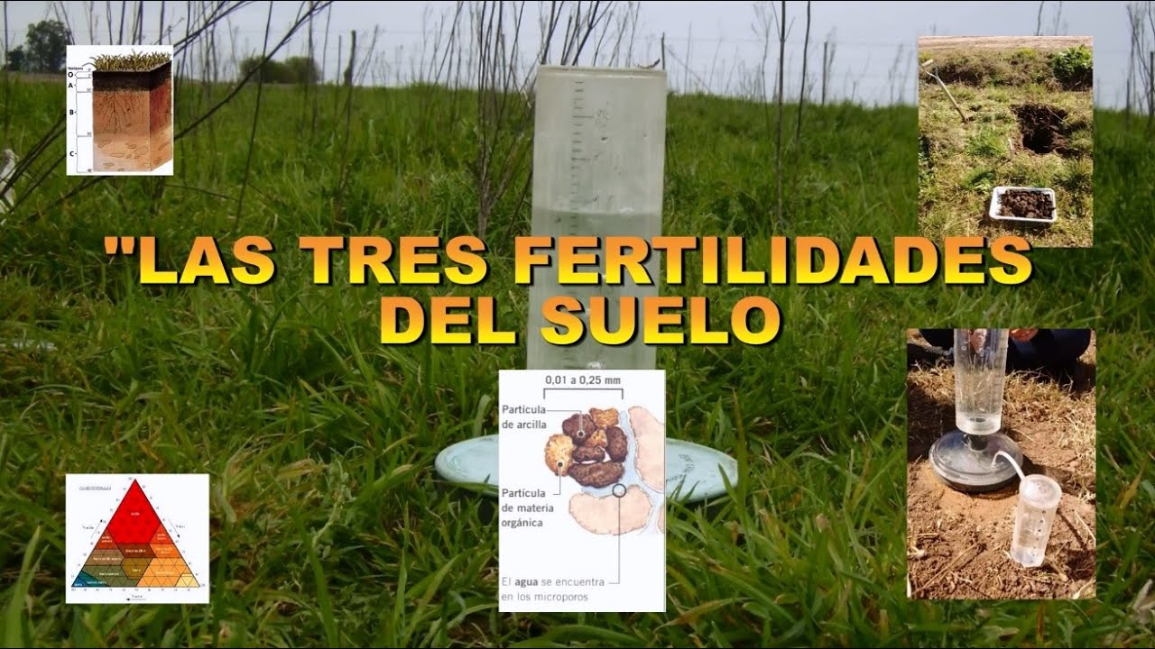 Fertilidad de suelos