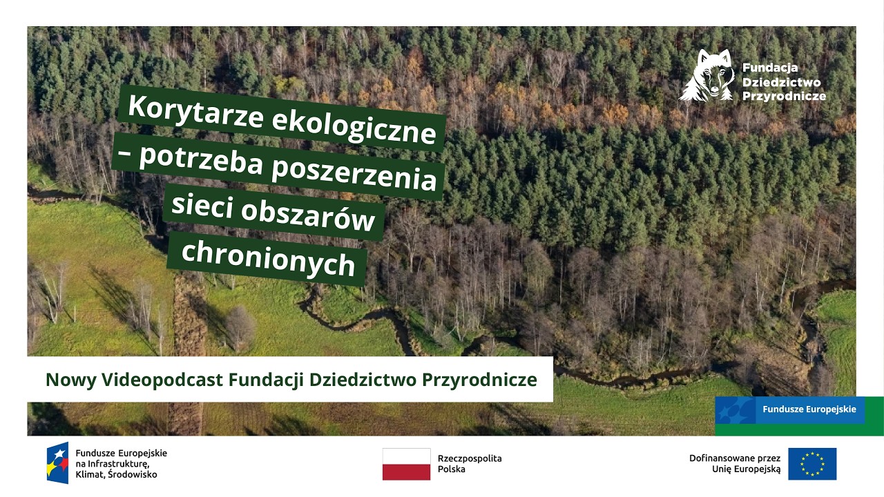 Korytarze ekologiczne