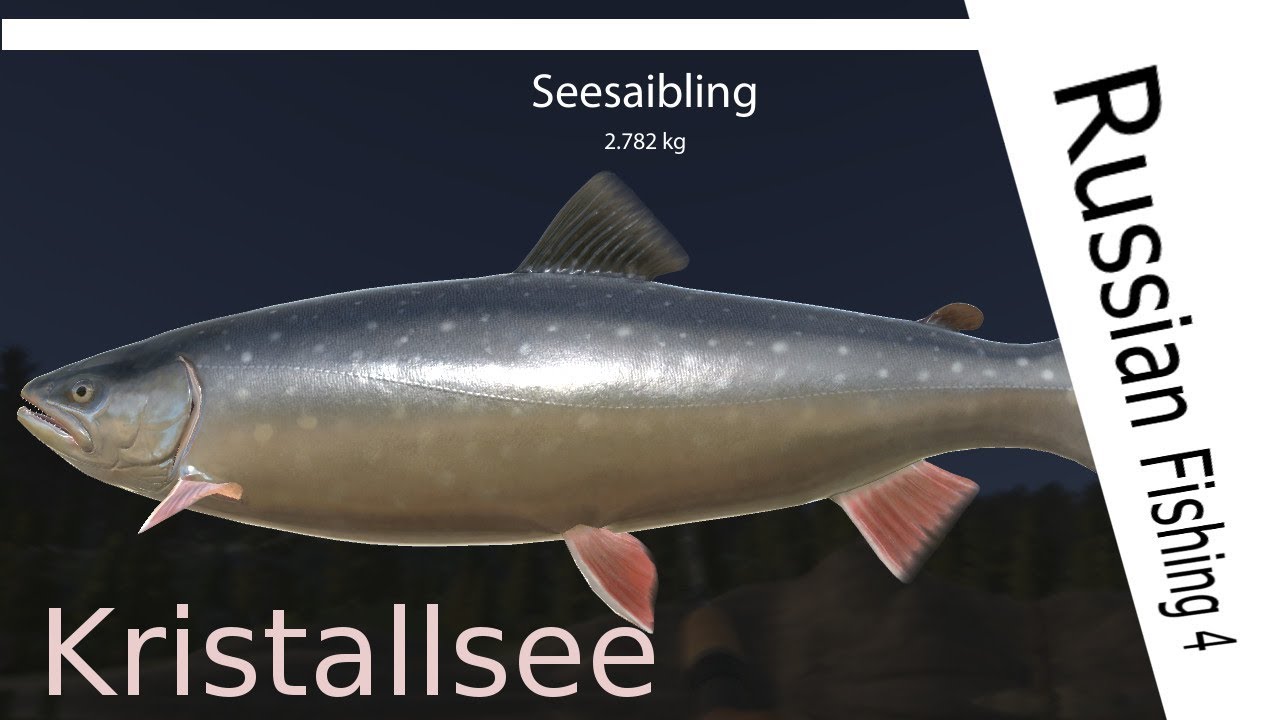 Russian Fishing 4 - #54 - Kristallsee - Seesaibling