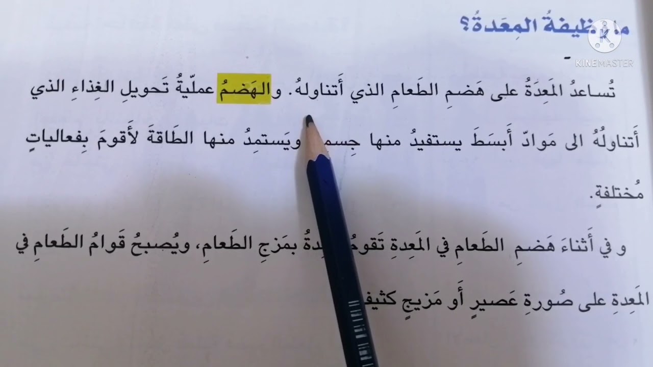 المعدة درس العلوم للصف الثاني الابتدائي