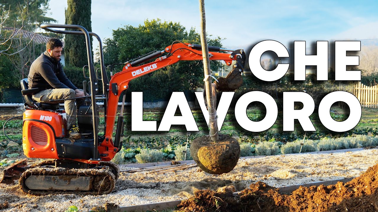 Uso il MINIESCAVATORE per piantare gli ALBERI al PODERE