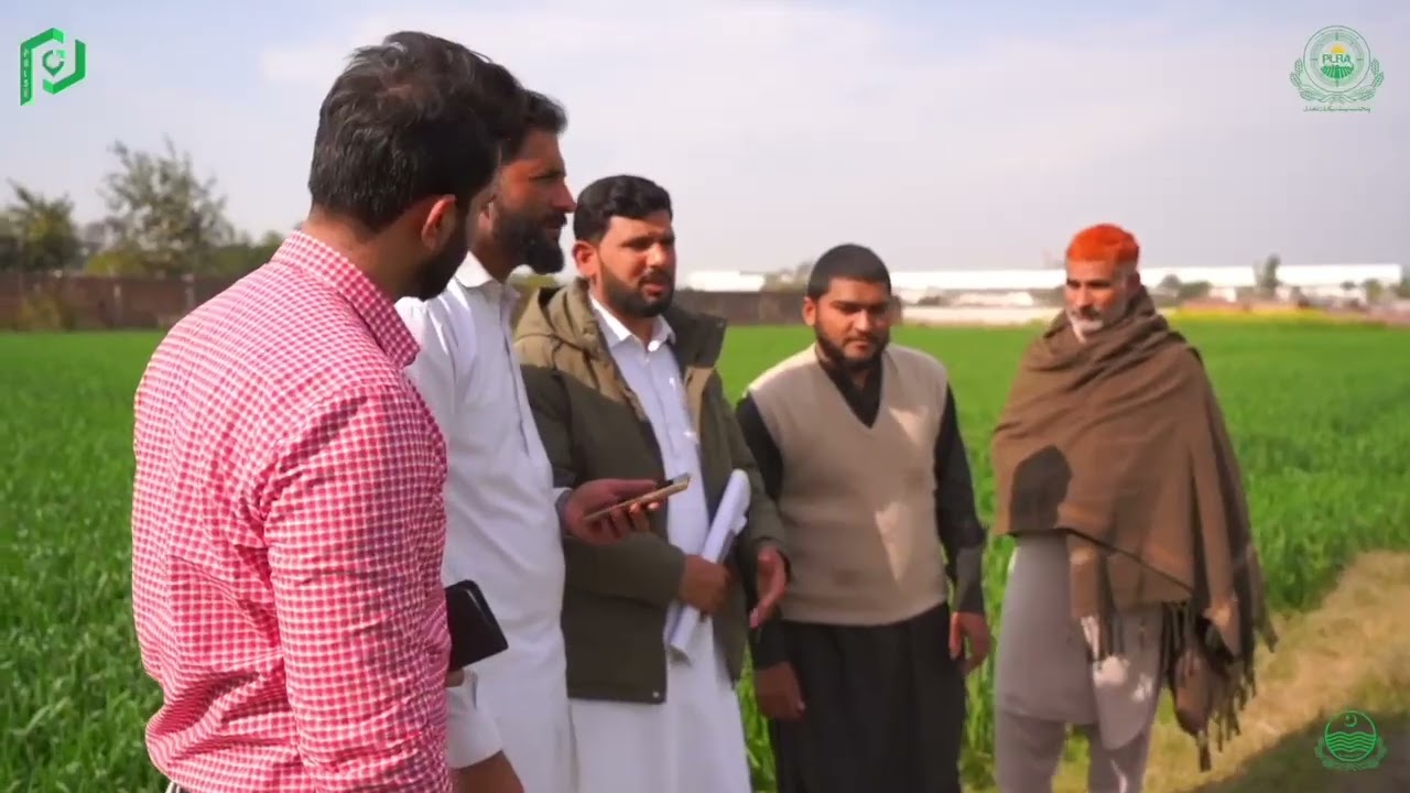 Fard System Abolished: How to Get Your Green Property Certificate in Punjab (2026)