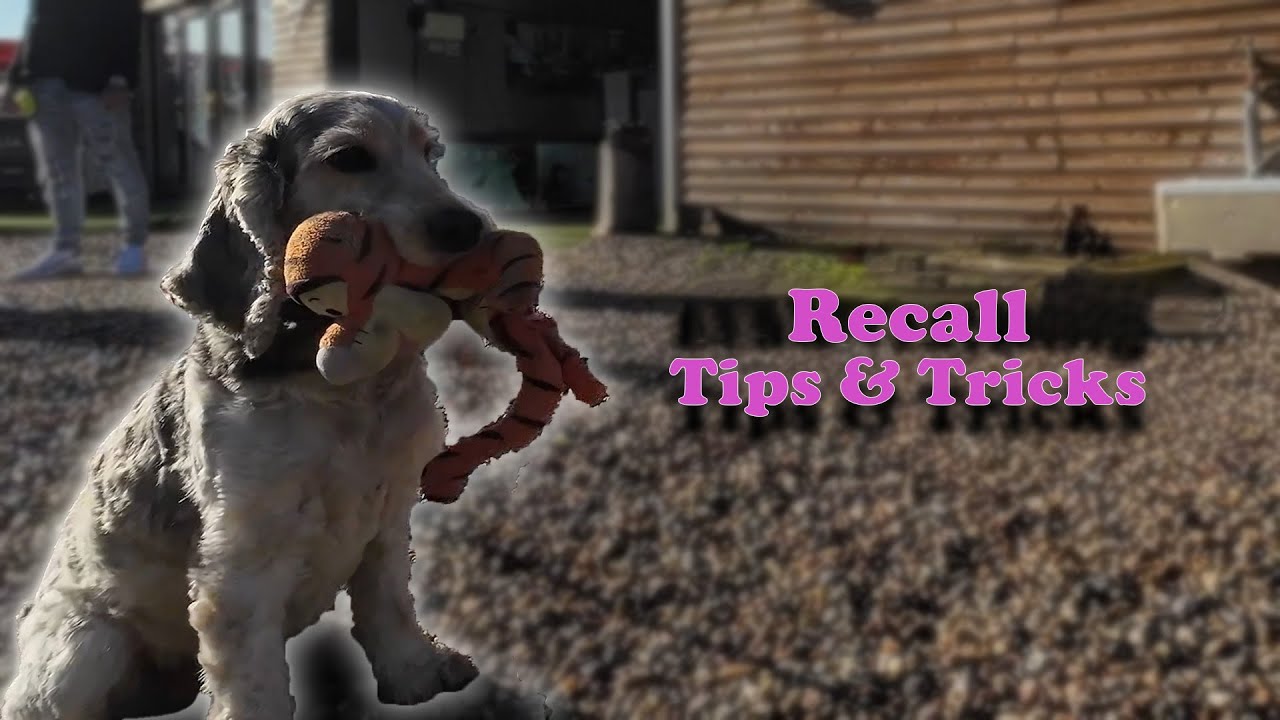 Recall Tips & Tricks
